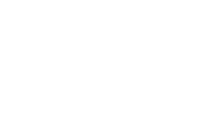 Logeos Vaziva